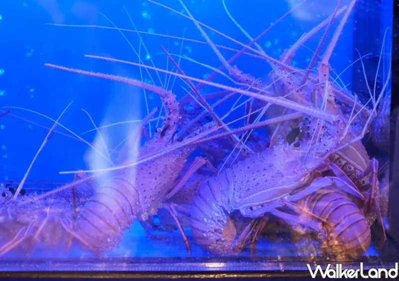 內湖美食推薦「澎派海鮮餐廳」 / WalkerLand窩客島整理提供 未經許可不可轉載