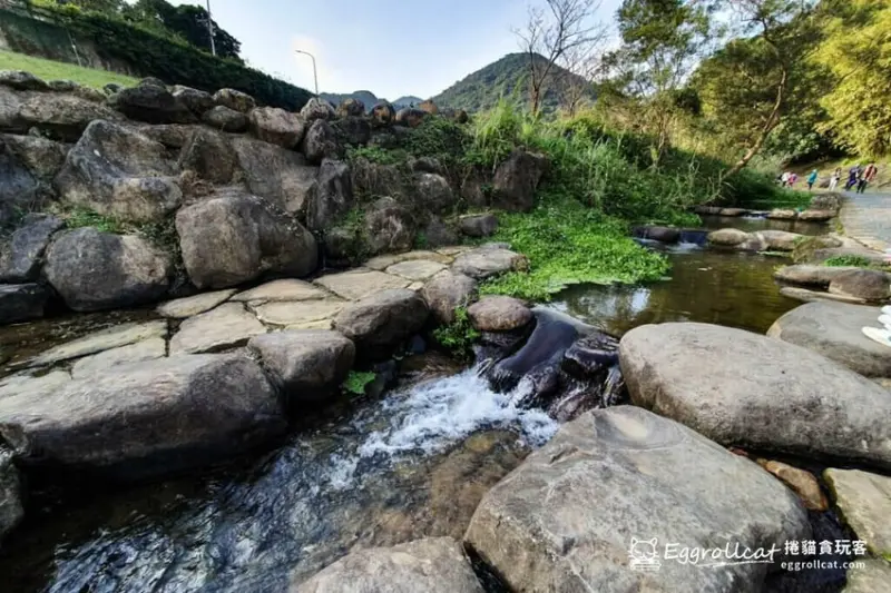 雙北免費玩水景點推薦：大溝溪生態治水園區/ WalkerLand窩客島整理提供 未經許可不可轉載
