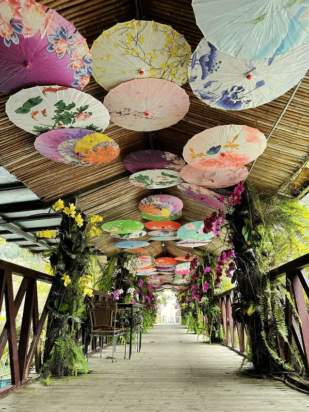 台一生態休閒農場/ WalkerLand窩客島整理提供 未經許可不可轉載