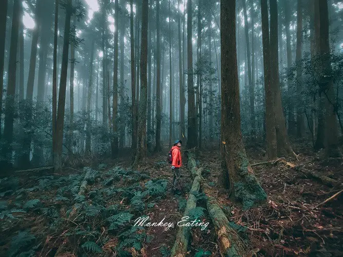 比大鳥縱走 / WalkerLand窩客島整理提供 未經許可不可轉載