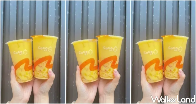 CoCo楊枝甘露 / WalkerLand窩客島整理提供 未經許可，不得轉載