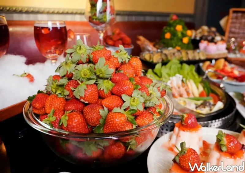 馬辣草莓吃到飽/ WalkerLand窩客島整理提供 未經同意不可轉載