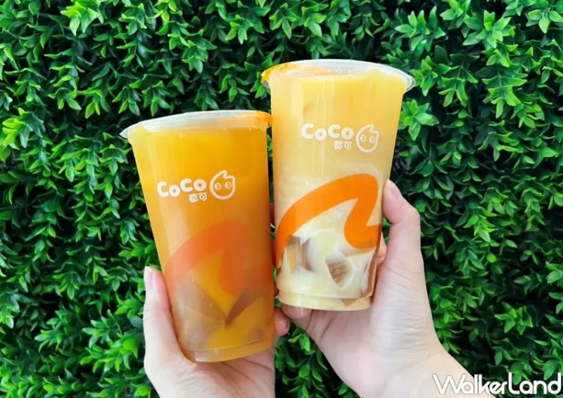 CoCo都可 蜜橘系列 / WalkerLand窩客島整理提供 未經許可，不得轉載