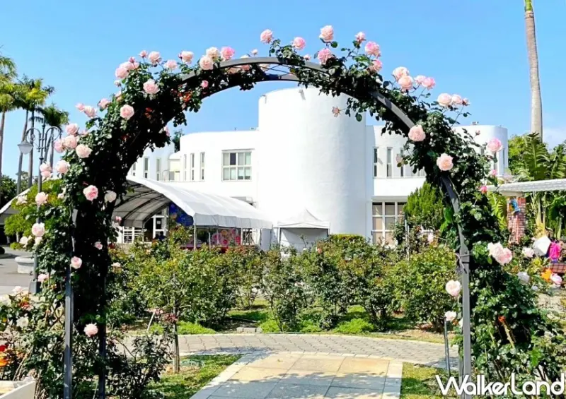 2023台北玫瑰展「玫好幸福」/ WalkerLand窩客島整理提供 未經許可不可轉載
