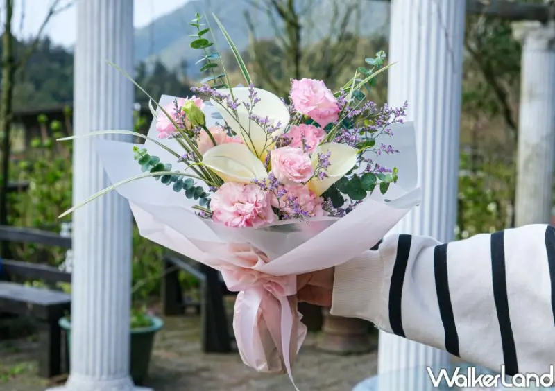 竹子湖海芋 / WalkerLand窩客島整理提供 未經許可不可轉載