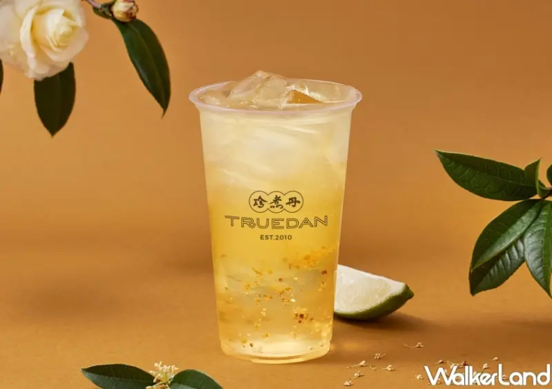 珍煮丹 山茶花系列 / WalkerLand窩客島整理提供 未經許可，不得轉載