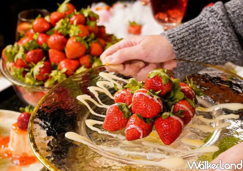 馬辣草莓吃到飽/ WalkerLand窩客島整理提供 未經同意不可轉載