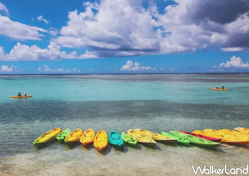 星宇航空X雄獅關島包機/ WalkerLand窩客島整理提供 未經同意不可轉載