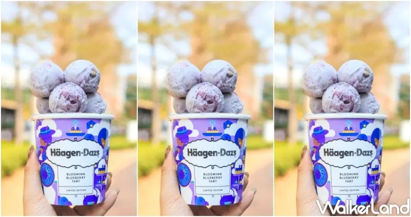 哈根達斯 新品 / WalkerLand窩客島提供 未經許可，不得轉載