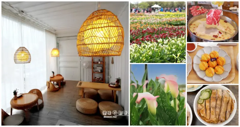 大園人搶先拍！近5公頃、超過7萬株「桃園彩色海芋季」4/1正式開園，大園一日順遊「5間大園人激推美食」快收。