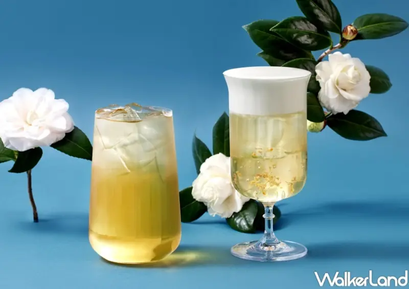 珍煮丹 山茶花系列 / WalkerLand窩客島整理提供 未經許可，不得轉載