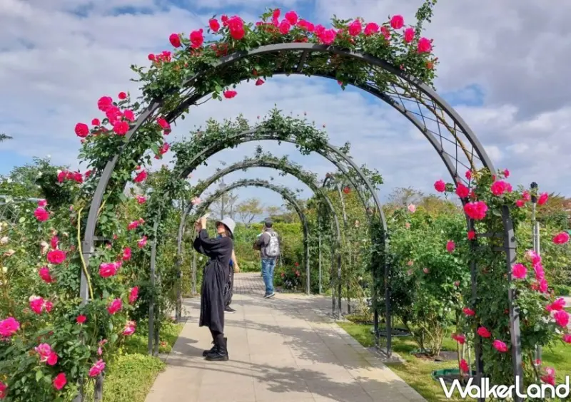 2023台北玫瑰展「玫好幸福」/ WalkerLand窩客島整理提供 未經許可不可轉載