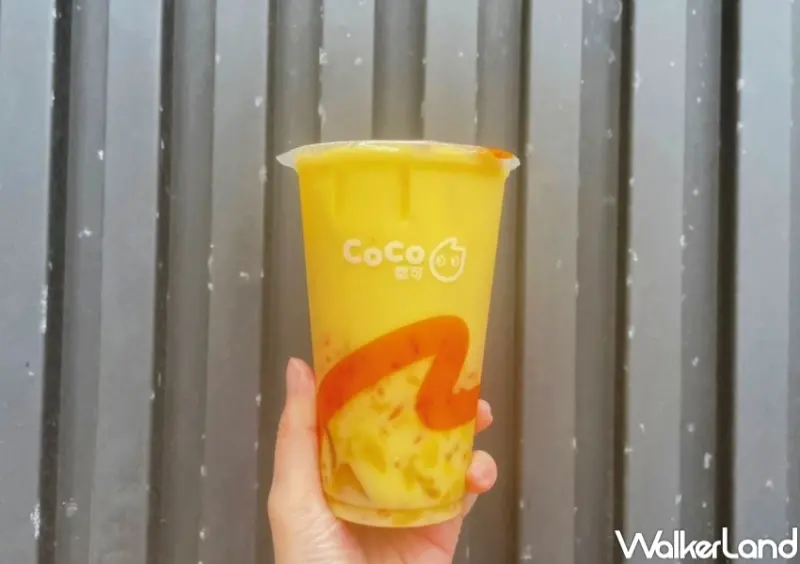 CoCo楊枝甘露 / WalkerLand窩客島整理提供 未經許可，不得轉載