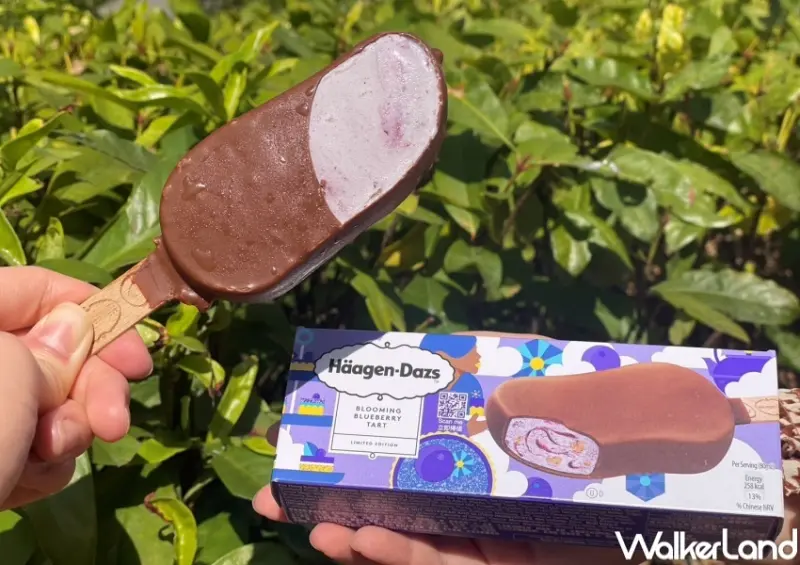 哈根達斯 新品 / WalkerLand窩客島提供 未經許可，不得轉載3