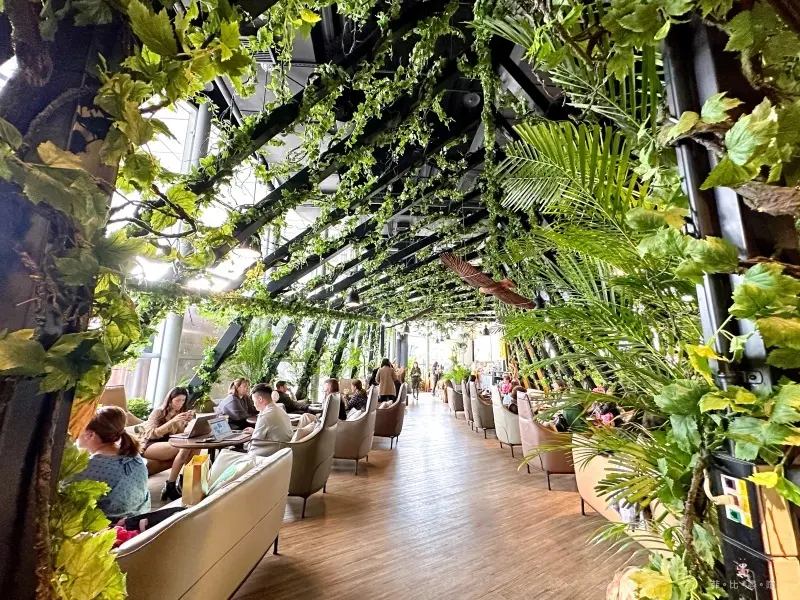 D’or caf’e 兜咖啡 新北最浪漫森林系不限時咖啡廳 懶得上山就來這裡享受森林浴～