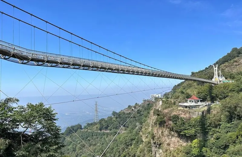 嘉義梅山景點推薦：太平雲梯