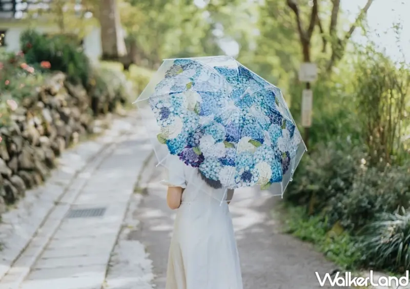 薰衣草森林 / WalkerLand窩客島整理提供 未經許可，不得轉載