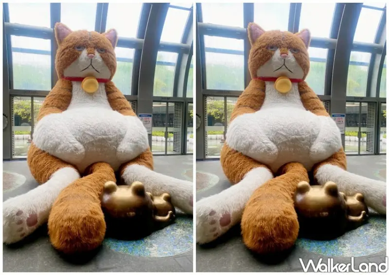 大安森林公園站「橘貓重重、吉刻市集」/ WalkerLand窩客島整理提供 未經同意不可轉載