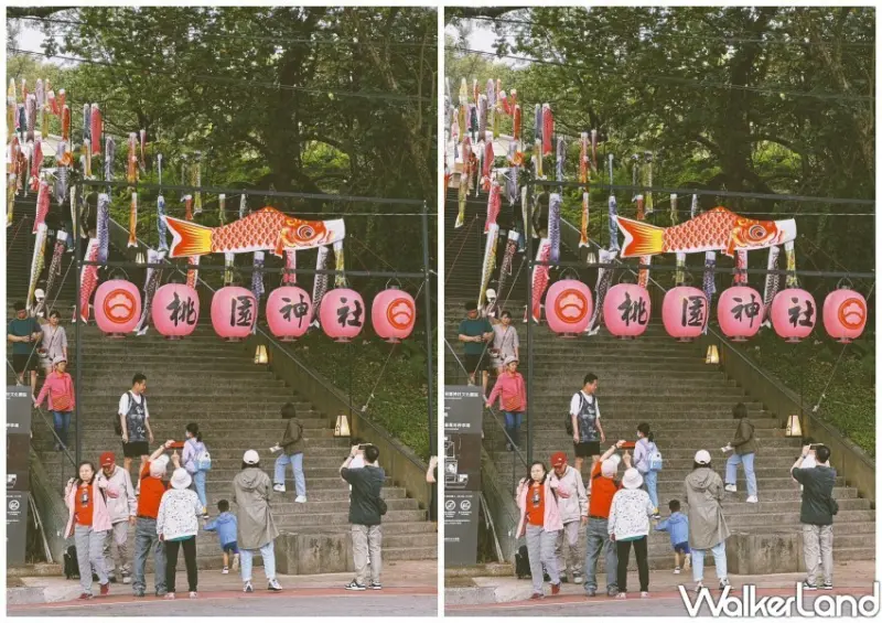 桃園神社「鯉魚流光祭り」/ WalkerLand窩客島整理提供 未經同意不可轉載