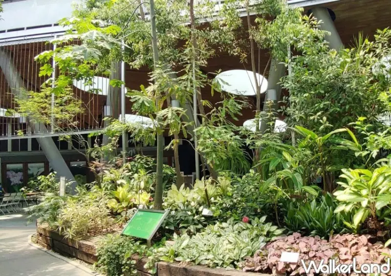台北典藏植物園/ WalkerLand窩客島整理提供 未經同意不可轉載