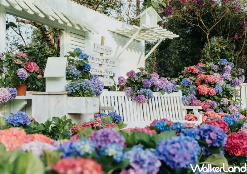 薰衣草森林 / WalkerLand窩客島整理提供 未經許可，不得轉載