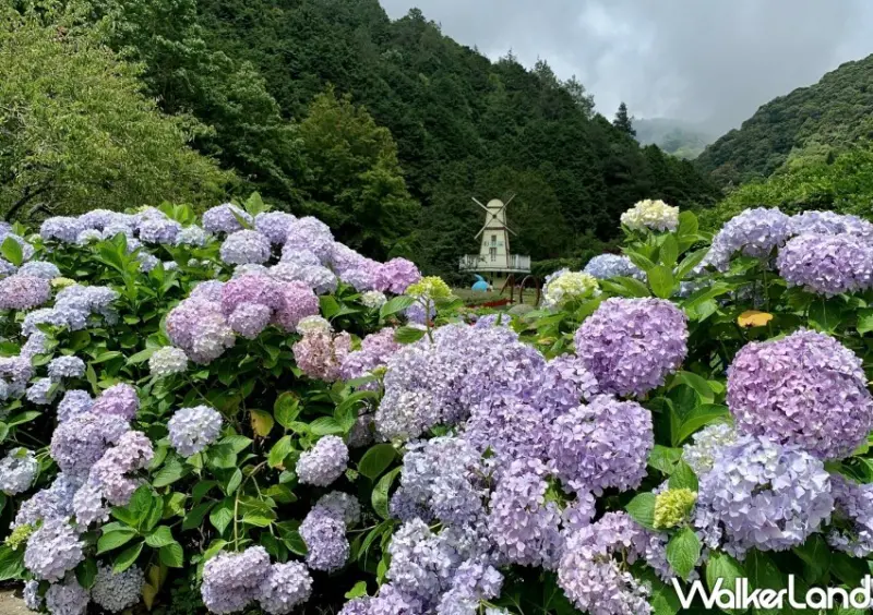 雄獅線上旅展/ WalkerLand窩客島整理提供 未經同意不可轉載