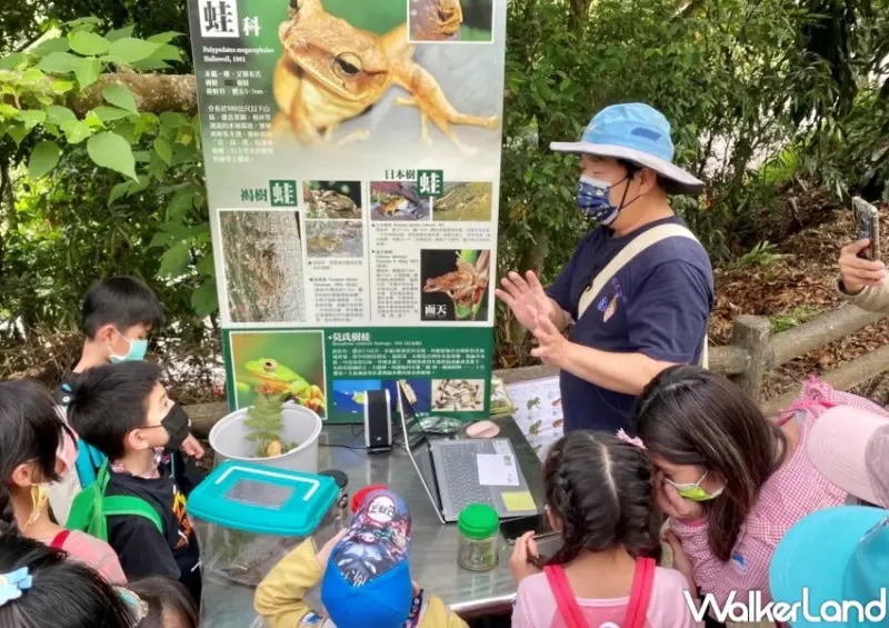 2023大坑蝶螢嘉年華 / WalkerLand窩客島整理提供 未經許可，不得轉載