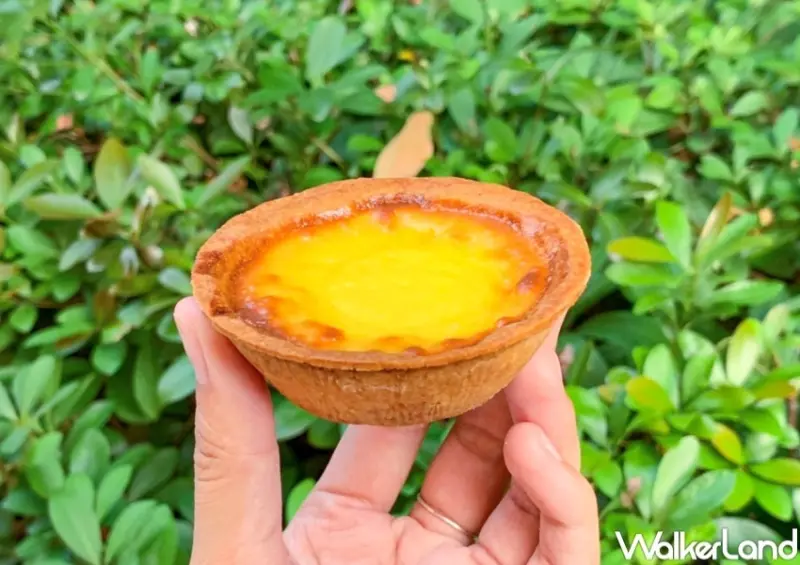 義美 鮮奶布丁蛋塔 / WalkerLand窩客島提供 未經許可，不得轉載