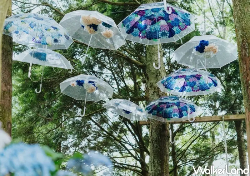 薰衣草森林 / WalkerLand窩客島整理提供 未經許可，不得轉載