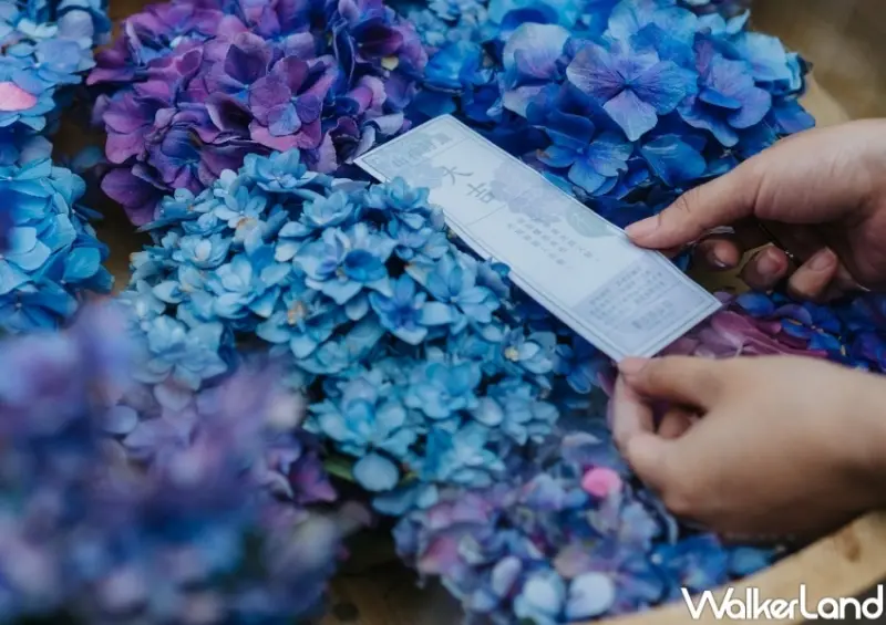 薰衣草森林 / WalkerLand窩客島整理提供 未經許可，不得轉載