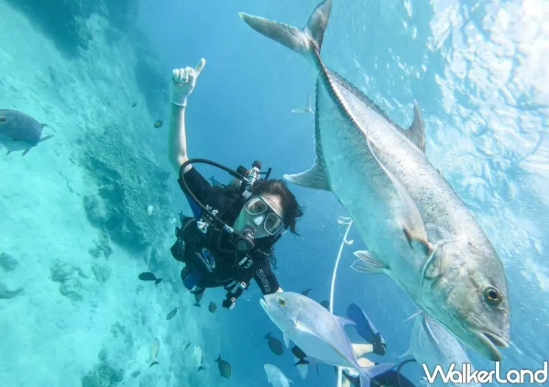 關島必玩景點推薦/ WalkerLand窩客島整理提供 未經同意不可轉載