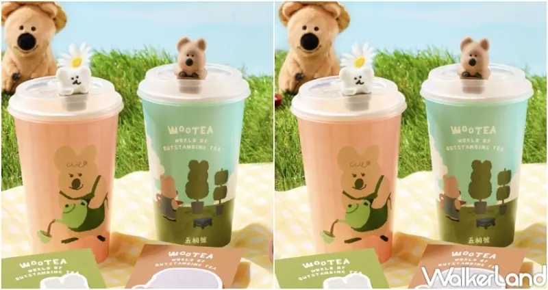 五桐號 X DINOTAENG 春季聯名小物 / WalkerLand窩客島整理提供 未經許可，不得轉載