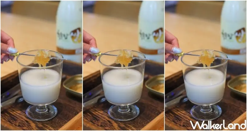 輪流請客 蜂巢瑪格麗優惠活動 / WalkerLand窩客島提供 未經許可，不得轉載