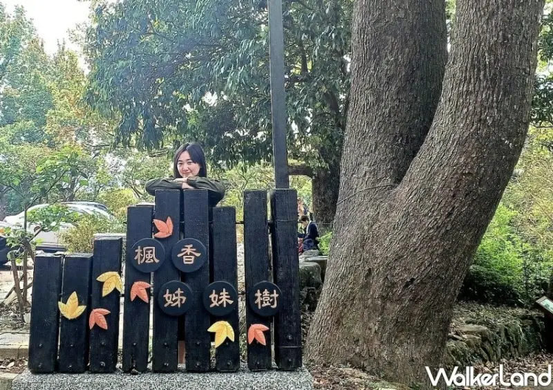 台北陽明山步道「半嶺水圳步道」/ WalkerLand窩客島整理提供 未經同意不可轉載