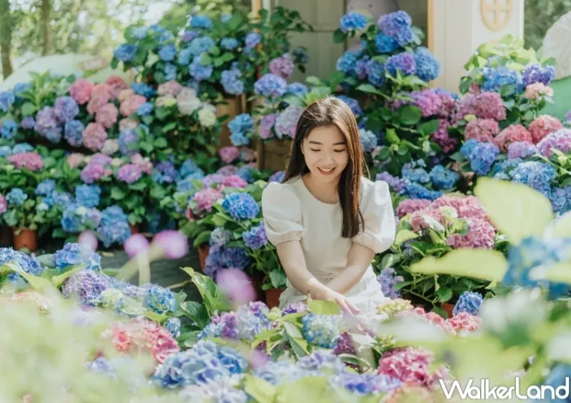 薰衣草森林 / WalkerLand窩客島整理提供 未經許可，不得轉載