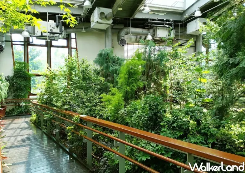 台北典藏植物園/ WalkerLand窩客島整理提供 未經同意不可轉載