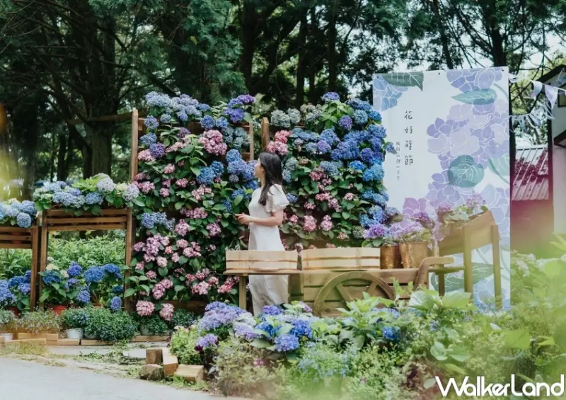 薰衣草森林 / WalkerLand窩客島整理提供 未經許可，不得轉載
