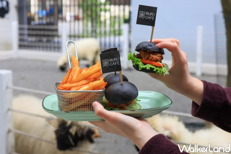 宜蘭綠舞日式主題園區 / WalkerLand窩客島提供 未經許可，不得轉載