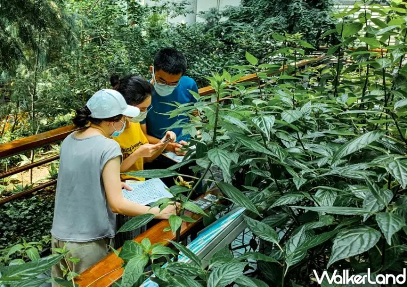 台北典藏植物園/ WalkerLand窩客島整理提供 未經同意不可轉載