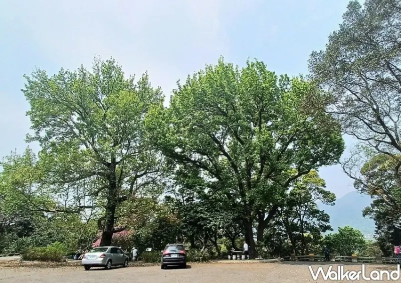 台北陽明山步道「半嶺水圳步道」/ WalkerLand窩客島整理提供 未經同意不可轉載