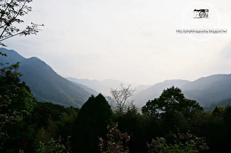 新竹自然系景點推薦：薰衣草森林新竹尖石店 / WalkerLand窩客島整理提供 未經許可，不得轉載