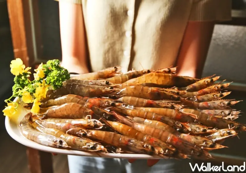 鼎盛十里 壽星優惠 / WalkerLand窩客島整理提供 未經許可，不得轉載