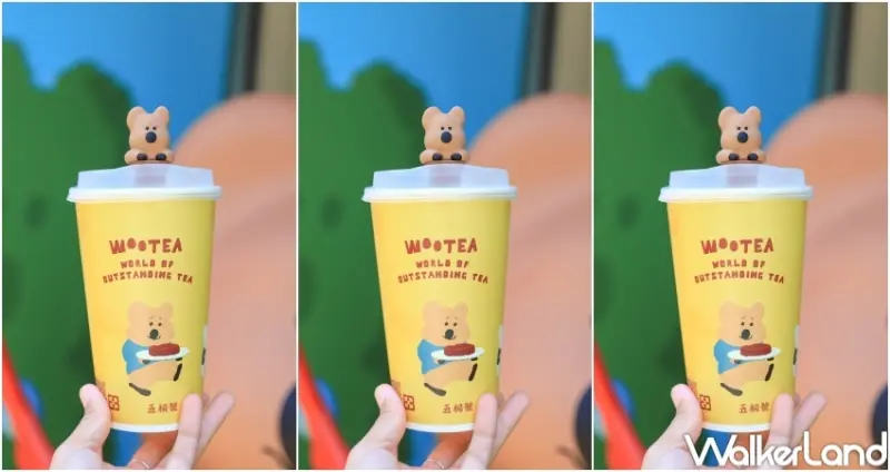 五桐號x DinoTaeng聯名 / WalkerLand窩客島提供 未經許可，不得轉載