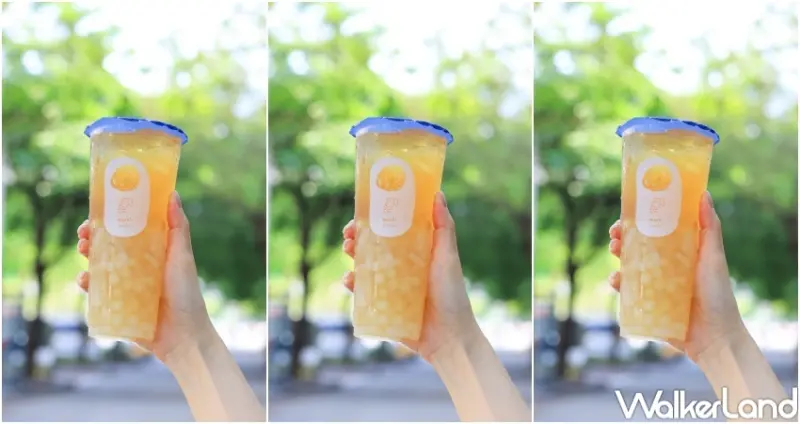 麥吉 玄米麥茶新品 / WalkerLand窩客島整理提供 未經許可，不得轉載