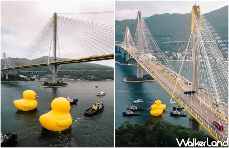 香港 橡皮鴨二重暢 / WalkerLand窩客島整理提供 未經許可，不得轉載