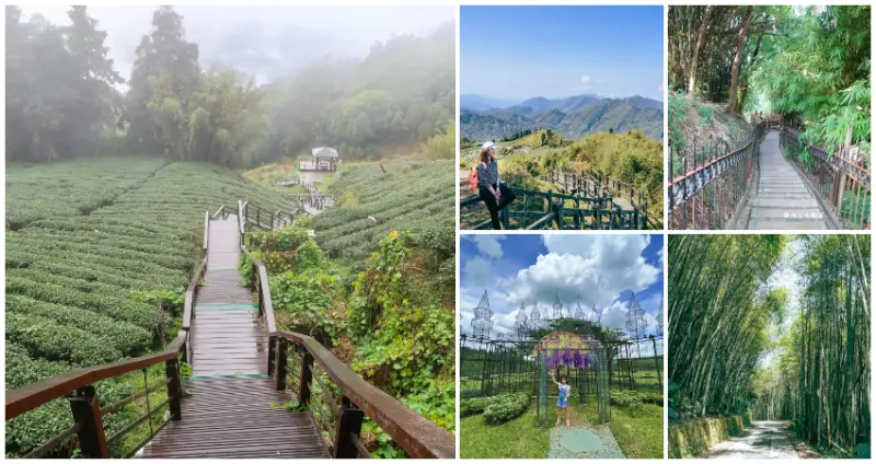 還沒去過太落伍！37個絕美「嘉義打卡景點」全收下，手刀打卡嘉義自然系景點、網美景點，攻佔嘉義人的後花園。