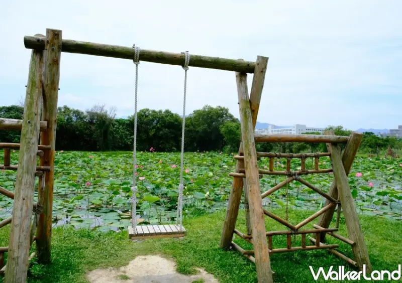 樹林山佳荷花池/ WalkerLand窩客島整理提供 未經同意不可轉載