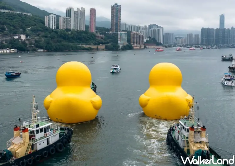 香港 橡皮鴨二重暢 / WalkerLand窩客島整理提供 未經許可，不得轉載