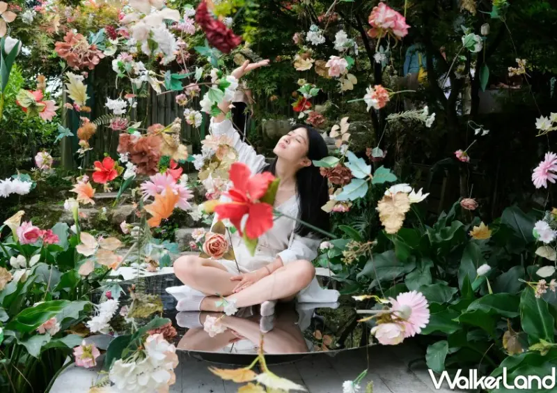 2023年竹子湖繡球花季/ WalkerLand窩客島整理提供 未經同意不可轉載