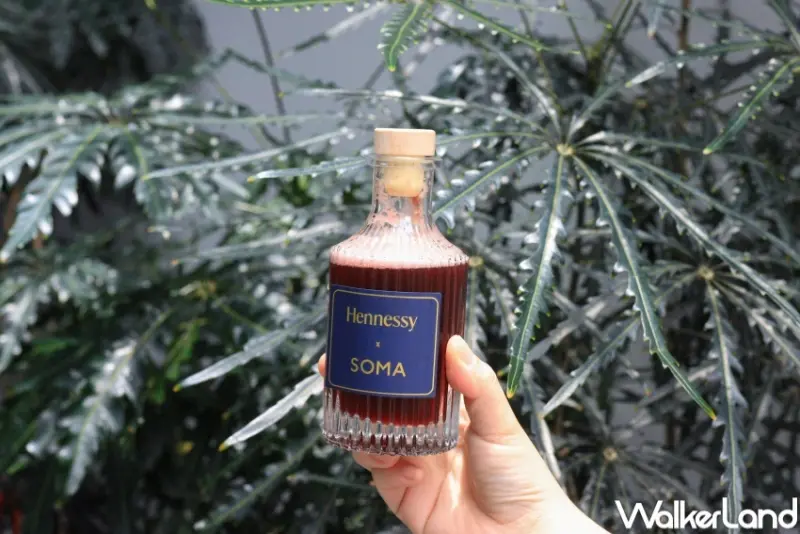 SOMA X 軒尼詩 聯名限定新品 / WalkerLand窩客島提供 未經許可，不得轉載